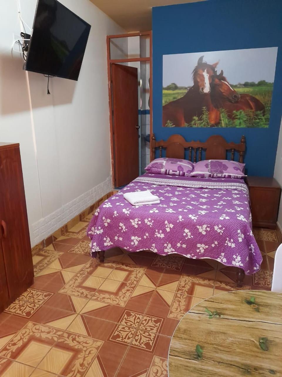Nasca Trails B&B Наска Екстериор снимка